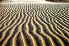 Dunas-Atins-5