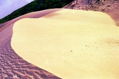 Dunas-Atins