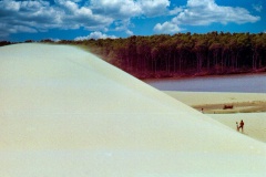 Dunas-Vassouras-Vento