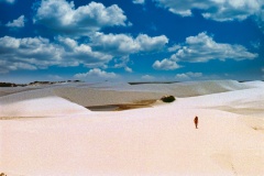 Dunas