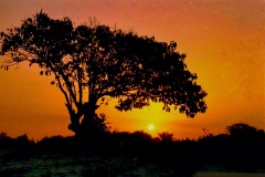 Entardecer-Acampamento-3
