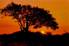 Entardecer-Acampamento-4