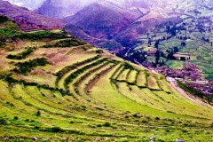 Pisaq-Terraças