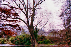 Parque-1