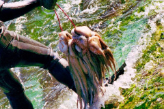 31-Polvo