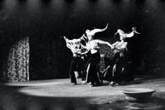 Palco-1