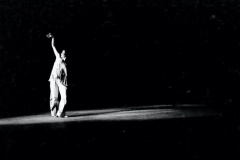 Palco-13