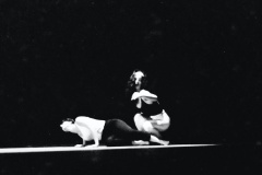 Palco-14