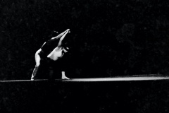 Palco-16