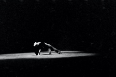 Palco-19