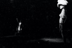 Palco-35