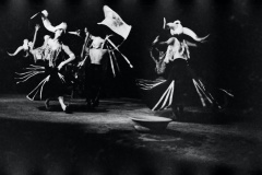 Palco-8