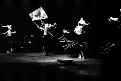 Palco-9