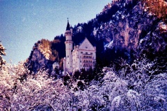 04-NeunSchwanstein