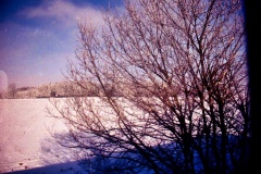 37-Trem-Füssen