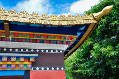 Templo-Cotia-005