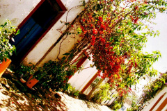 30-Porta