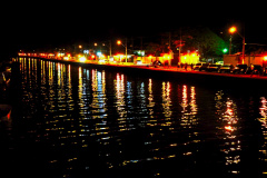 DSC0074