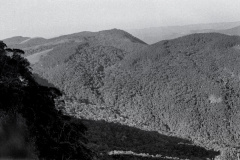 12-Vale