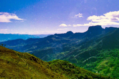 16-Vale