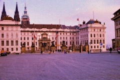 20-Portal-Burgo