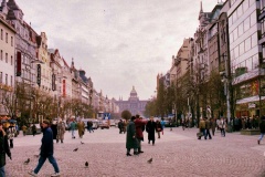 33-Rua-Principal