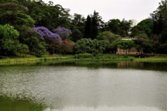 DSC0003-2