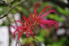 DSC0005_2