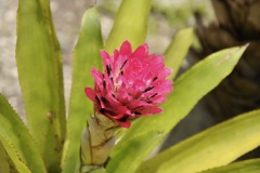 DSC0038_2