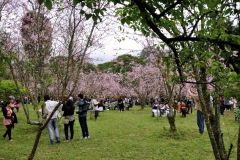 DSC0052