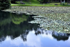 DSC0067_2