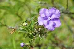 DSC0082