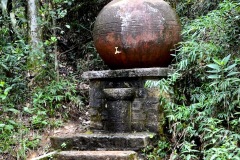 DSC0097