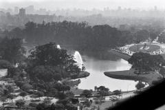 Parque
