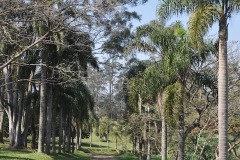 Parque_do_Carmo-002