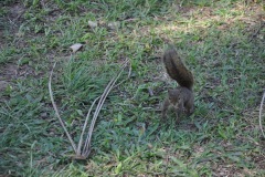 Parque_do_Carmo-006
