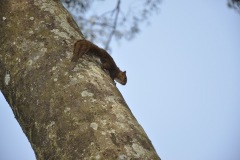 Parque_do_Carmo-011