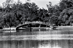 Ponte