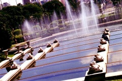 Reflexo