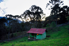 DSC0038