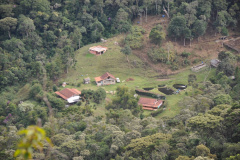 DSC0050