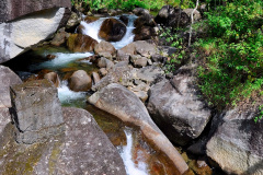 DSC0058