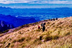 Galera