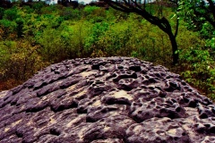 03-Pedra-da-Tartaruga