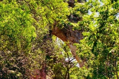 05-Arco