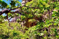 06-Mirante