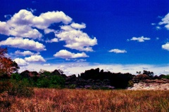 23-Horizonte-Parque