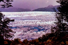 Glaciar-Grey-5