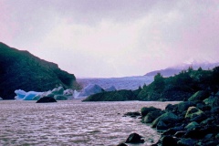 Glaciar-Grey