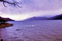 Lago-Grey-3